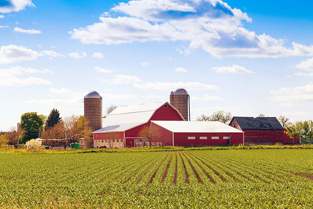 Farm land in New Tecumseth, Alliston, Beeton featuring a green field and red barn and blue sky.